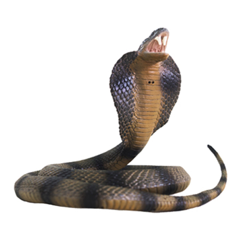 [Safari] 코일링코브라 / 뱀모형 동물모형물