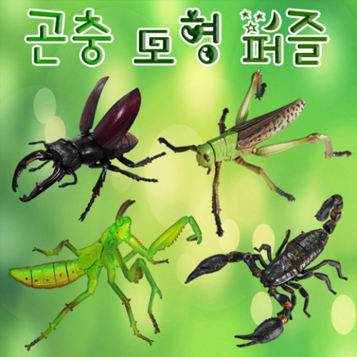 [에듀사이언스] 곤충모형 퍼즐 / 생물학습 과학실험키트