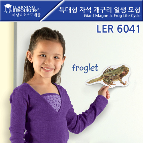 [가베가족] 특대형 자석 개구리 일생 모형/LER6041/Giant Magnetic Frog Life Cycle / 과학 학습 교구